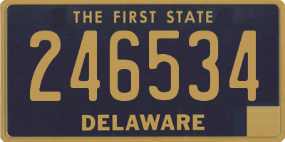 DE license plate 246534