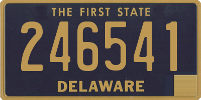 DE license plate 246541