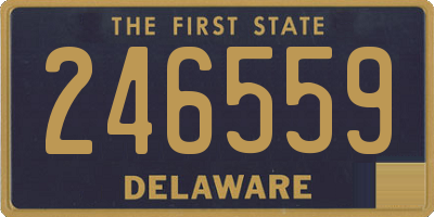 DE license plate 246559