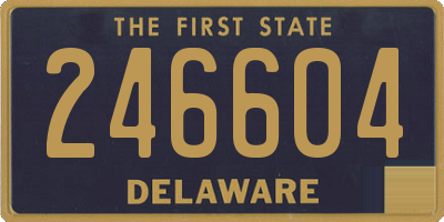 DE license plate 246604