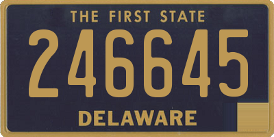DE license plate 246645
