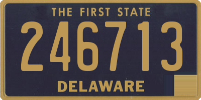 DE license plate 246713