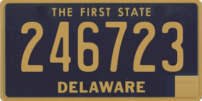 DE license plate 246723