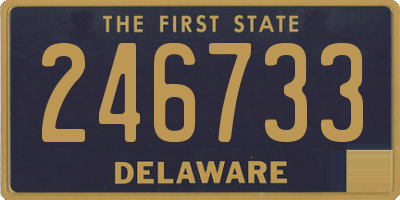 DE license plate 246733