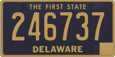 DE license plate 246737