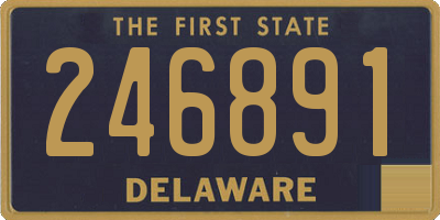 DE license plate 246891