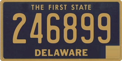 DE license plate 246899