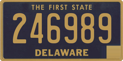 DE license plate 246989