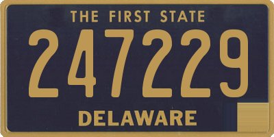 DE license plate 247229