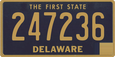 DE license plate 247236