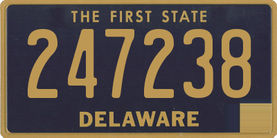 DE license plate 247238