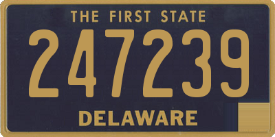 DE license plate 247239