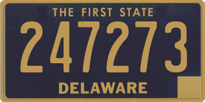 DE license plate 247273