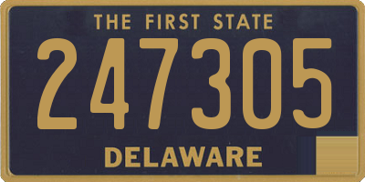 DE license plate 247305