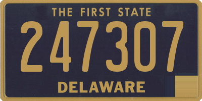 DE license plate 247307