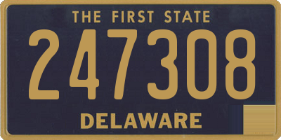DE license plate 247308