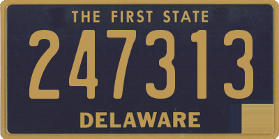 DE license plate 247313