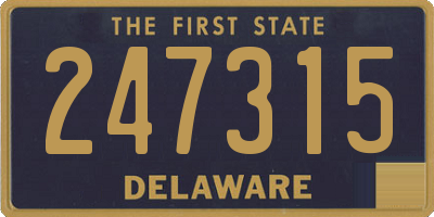 DE license plate 247315