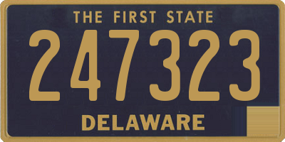DE license plate 247323