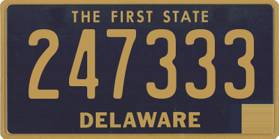 DE license plate 247333