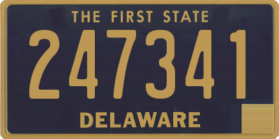 DE license plate 247341
