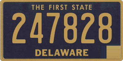 DE license plate 247828