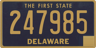 DE license plate 247985
