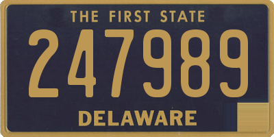 DE license plate 247989