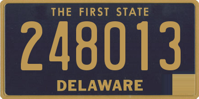 DE license plate 248013