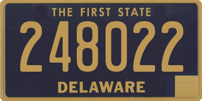 DE license plate 248022