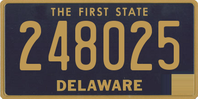 DE license plate 248025