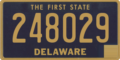 DE license plate 248029