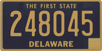 DE license plate 248045
