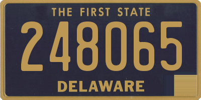 DE license plate 248065
