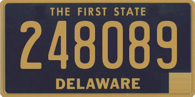 DE license plate 248089