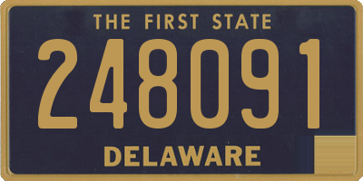 DE license plate 248091