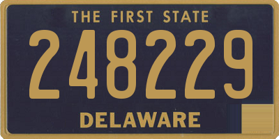 DE license plate 248229