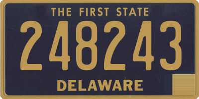 DE license plate 248243