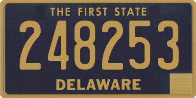 DE license plate 248253