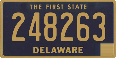 DE license plate 248263