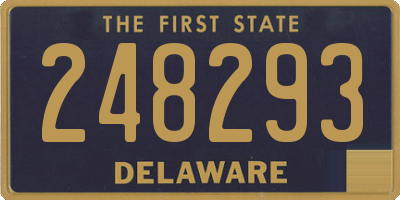 DE license plate 248293