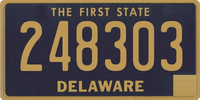 DE license plate 248303
