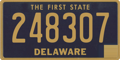 DE license plate 248307