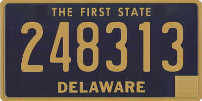 DE license plate 248313