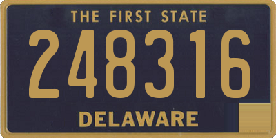 DE license plate 248316