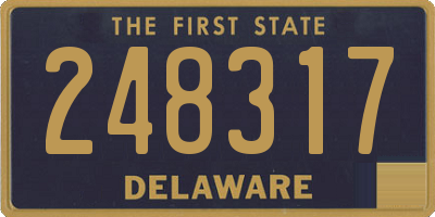 DE license plate 248317
