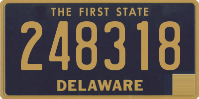 DE license plate 248318