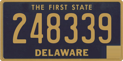 DE license plate 248339