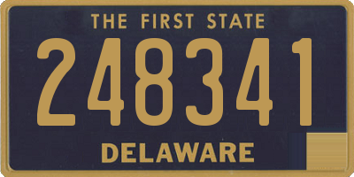 DE license plate 248341