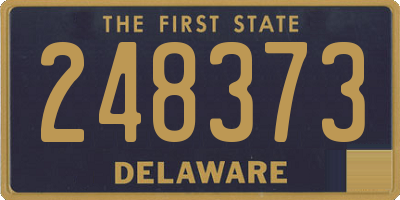 DE license plate 248373